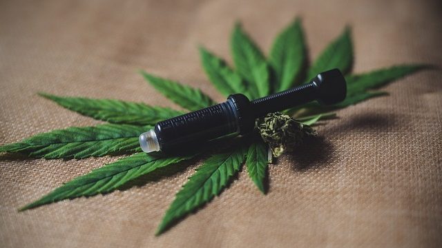 Naturkosmetik mit Hanf: Eine nachhaltige Alternative für natürliche Schönheit