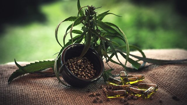 Cannabis in der Naturheilkunde: Eine ganzheitliche Perspektive