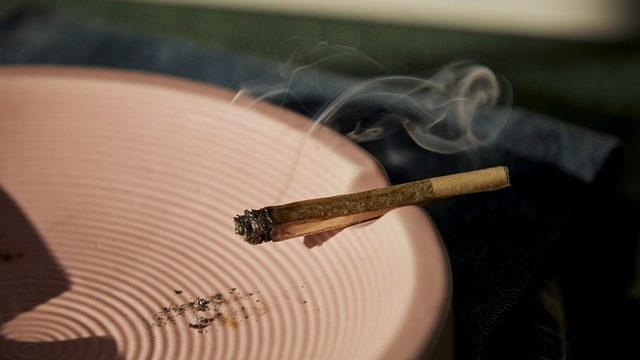 Cannabis in den Niederlanden: Eine Erkundung der liberalen Drogenpolitik und ihrer Auswirkungen
