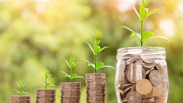 Business meets Cannabis - Es gibt eine Vielzahl